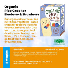 Apple Monkey Gluten Free Kids Friendly Snacks (Halal Certified)