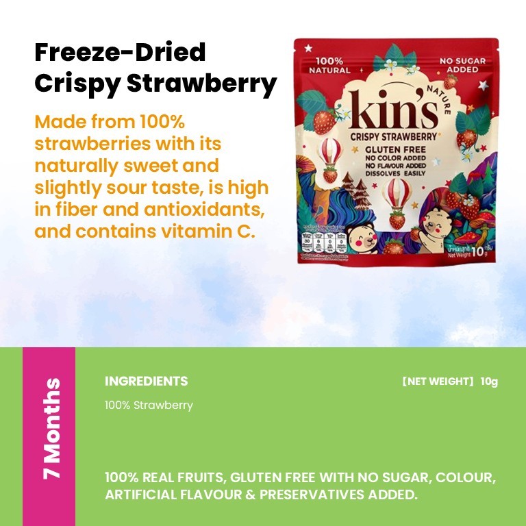 Kin's Nature 100% Natural Kids Friendly Fruits & Veggies Snacks(Halal Certified)