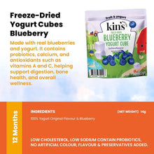 Kin's Nature 100% Natural Kids Friendly Fruits & Veggies Snacks(Halal Certified)