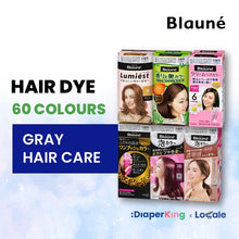 Liese Blauné Gray Hair Care Color Hair Dye Series