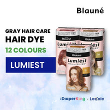 Liese Blauné Gray Hair Care Color Hair Dye Series