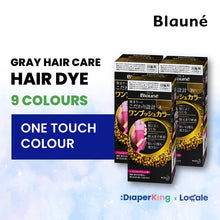 Liese Blauné Gray Hair Care Color Hair Dye Series