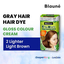 Liese Blauné Gray Hair Care Color Hair Dye Series