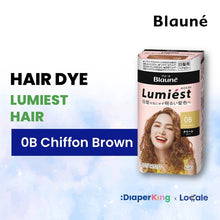 Liese Blauné Gray Hair Care Color Hair Dye Series