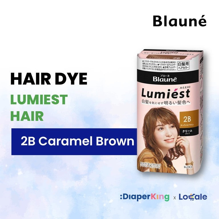 Liese Blauné Gray Hair Care Color Hair Dye Series