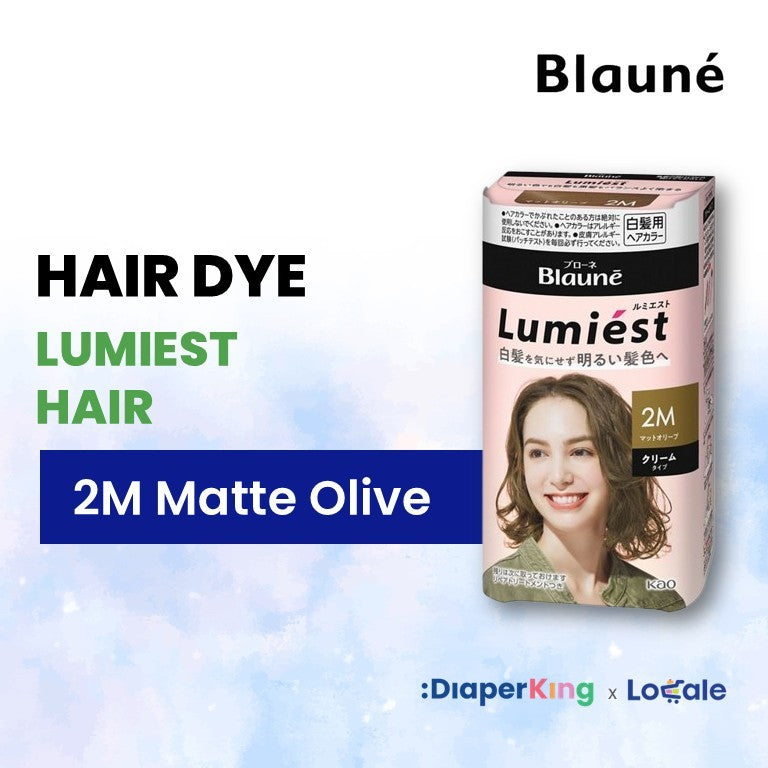 Liese Blauné Gray Hair Care Color Hair Dye Series