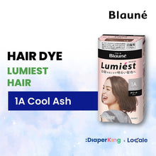 Liese Blauné Gray Hair Care Color Hair Dye Series