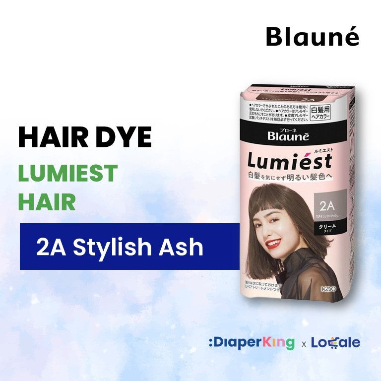 Liese Blauné Gray Hair Care Color Hair Dye Series