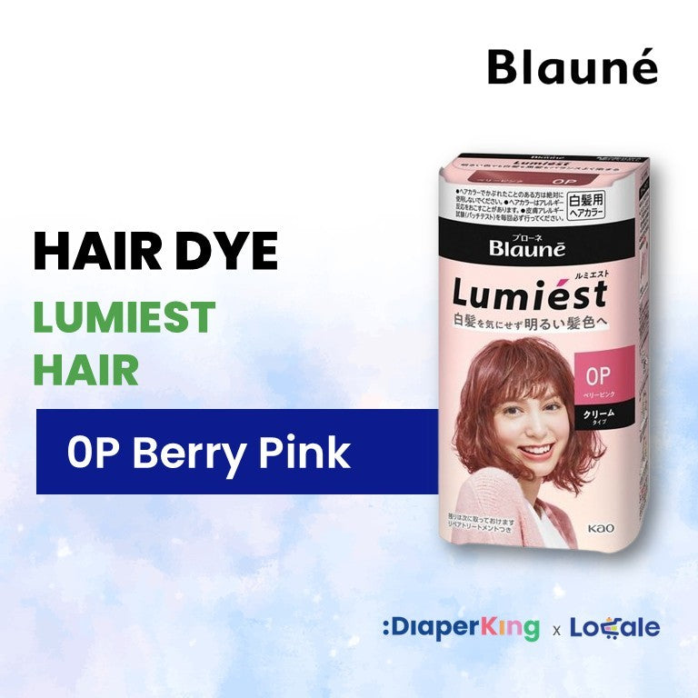 Liese Blauné Gray Hair Care Color Hair Dye Series