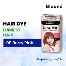 Liese Blauné Gray Hair Care Color Hair Dye Series