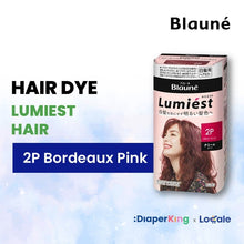 Liese Blauné Gray Hair Care Color Hair Dye Series