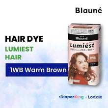Liese Blauné Gray Hair Care Color Hair Dye Series