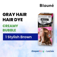Liese Blauné Gray Hair Care Color Hair Dye Series