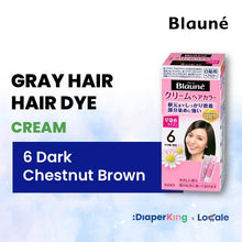Liese Blauné Gray Hair Care Color Hair Dye Series